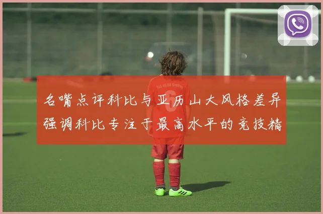 名嘴点评科比与亚历山大风格差异强调科比专注于最高水平的竞技精神