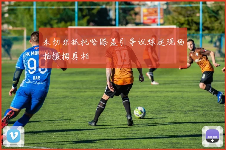 米切尔抓托哈膝盖引争议球迷现场拍摄揭真相
